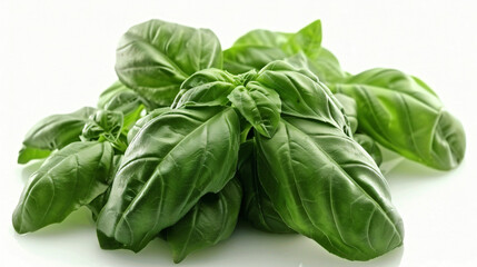 Fototapeta premium Fresh basil leaves with their smooth texture and vivid green color arranged delicately on a clean white background.