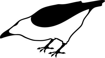 Bird Raven Crow Black Silhouette for Icon.