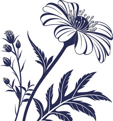 silhouette sunflower image on white background