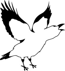 Bird Raven Crow Black Silhouette for Icon.