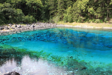 Breathtaking Landscape – Crystal Clear Waters and Lush Scenery of Jiuzhaigou Valley