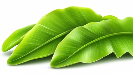 Fototapeta premium Lush Green Banana Leaves with Natural Texture. Generative AI