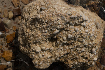 Natural beach rocks at the tropical sea