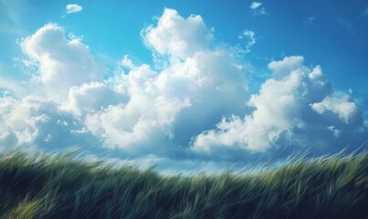 Obraz premium Windy wheat field under a bright summer sky. Ideal for travel, nature, or weather reports