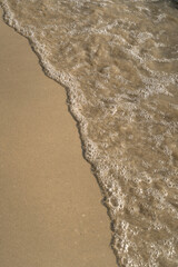 Sun-kissed waves crash on the sandy shore