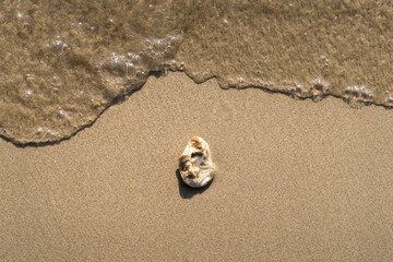 Water flows into a rocky puddle, creating an abstract texture on the sandy shore