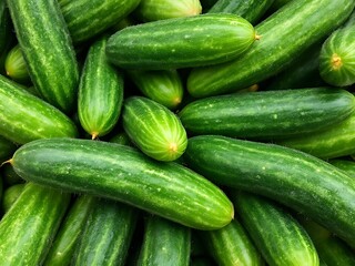 fresh cucumbers on a market
