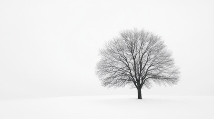 Lone tree in snowy field, winter fog; serene landscape for calm, nature themes