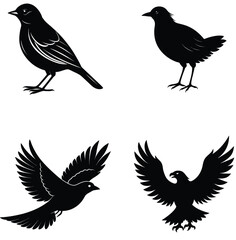 Fototapeta premium set of silhouettes of birds Illustration on White Background 