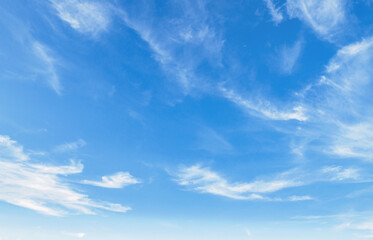 The sky is blue and clear with no clouds