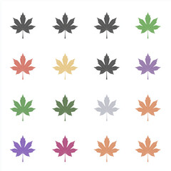 A clean, vector design showcasing a detailed, multi-colored maple leaf, representing the vivid shades of fall foliage in nature.