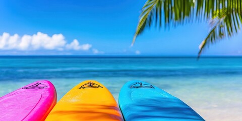  summer fun, vibrant and happy, wet and wild