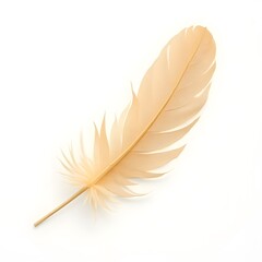 Fototapeta premium Single Pale Beige Feather Isolated on White Background Elegant Delicate Light