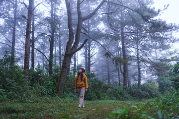 Obraz premium Portrait image of a woman traveling in the forest