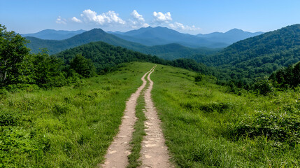 Mountain path leads to scenic vista; summer hike