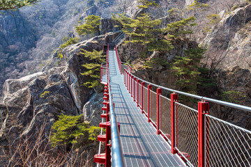 Obraz premium 대둔산 구름다리