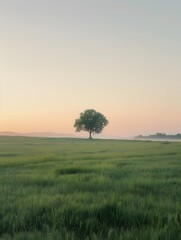 Fototapeta premium Landscape art wallpaper background image