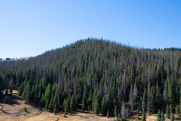 Mountain Landscapes Rocky Mountain National Park Colorado 
