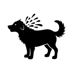 black and white dog
