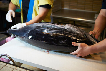 Fresh whole tuna on a cutting board
