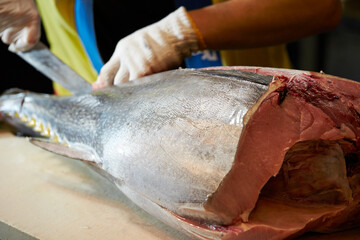 Fresh whole tuna on a cutting board