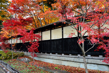新潟市中野邸の大庭園の紅葉