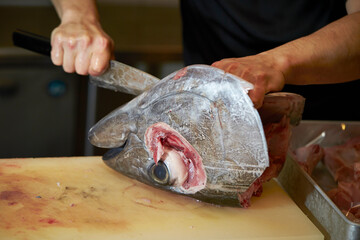 Cut the tuna head with a knife