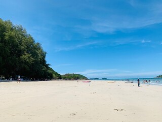 tropical beach with palm trees