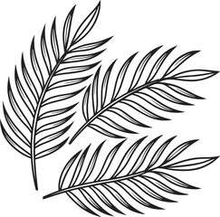 Obraz premium Three Palm Fronds, Line Art, Botanical Illustration, Tropical Design, Nature