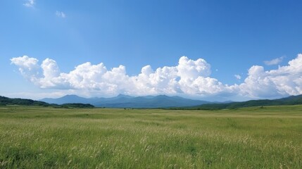 Obraz premium Expansive green field against a mountain backdrop under a cloudy blue sky
