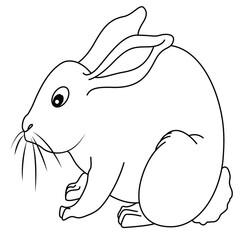 Cute cartoon hand drawn vector sitting rabbit coloring page.