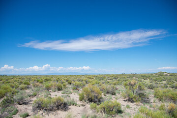 fields of sagebrush in southern Colorado