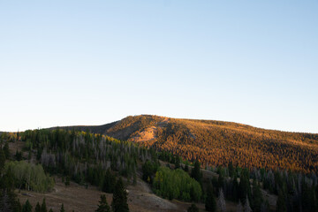 Golden glow on the hills at last light