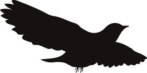 Passerine Bird Black Vector Silhouette on White Background