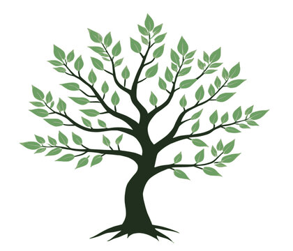 illustration of tree with green leaves and black trunk