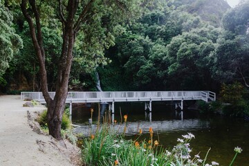 Tranquil white bridge over a serene pond, surrounded by lush greenery. Peaceful nature scene. Napier Centennial Gardens, Napier, Hawke's Bay, New Zealand