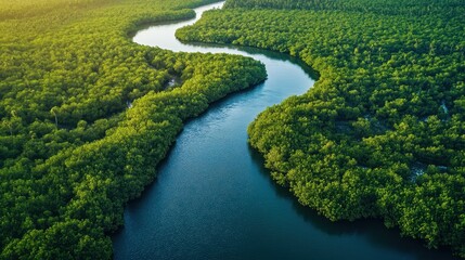 Serene Riverscape in a Lush Coastal Landscape