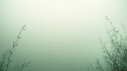 A sage green background with a gentle gradient and a natural look, creating a calming aesthetic with plenty of room for copy or other design features.