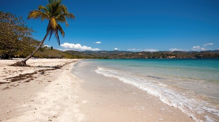 Tropical beach scene, palm tree, calm ocean, mountains background; ideal for travel brochures