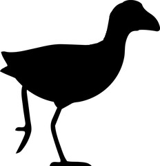 Rallidae Bird Black Vector Silhouette on White Background