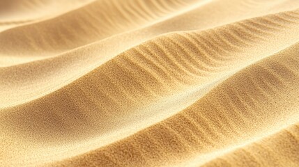 Fine details of the desert floor with smooth and rugged textures.