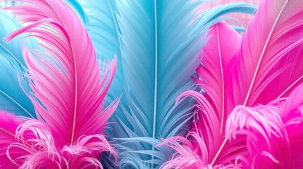 Fototapeta premium Soft Pink and Blue Feathers Background Image