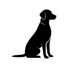 black labrador retriever