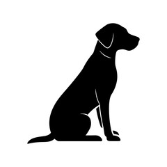 black labrador retriever