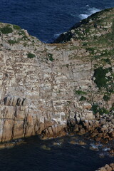 notch island