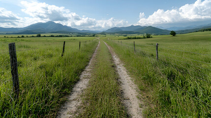 Dirt road through grassy field, mountains background. Landscapes use