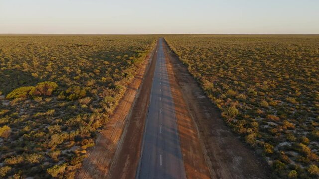 Aerial view of empty straight road in the outback at sunset, Western Australia