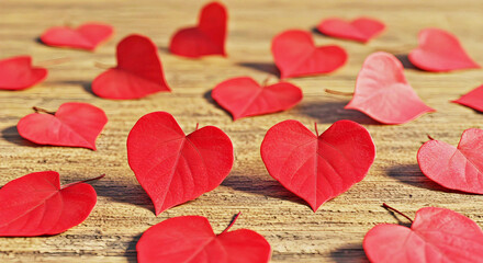 Red heart-shaped leaves are scattered across a wooden surface, creating a vibrant and cheerful display.
