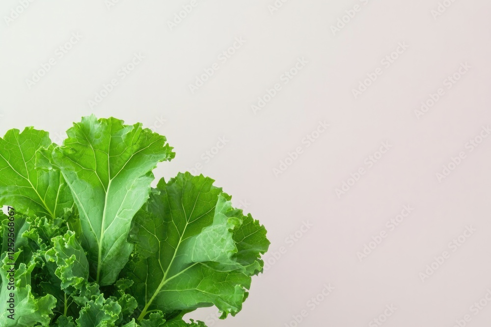 Poster close-up of fresh leafy kale with crisp textured leaves arranged on neutral solid color background w
