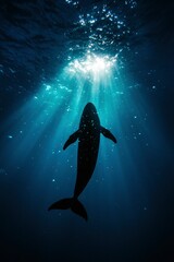 Whale swims in deep blue ocean as sunlight filters through surface, for conservation